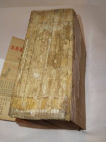 国际之部等9类