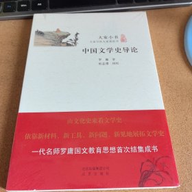 大家小书 中国文学史导论