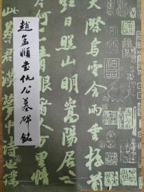 赵孟頫书仇公墓碑铭#1992年7月1版1次
#成都古籍书店影印里【就一本】