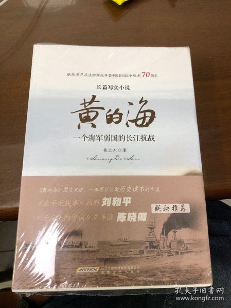 黄的海：一个海军弱国的长江抗战