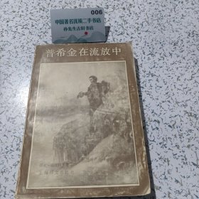 普希金在流放中。