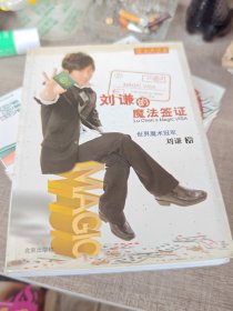 刘谦的魔法签证