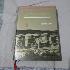 大亚湾核电站建设经验汇编（3）