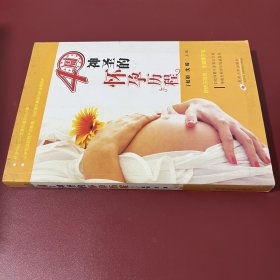 40周神圣的怀孕历程