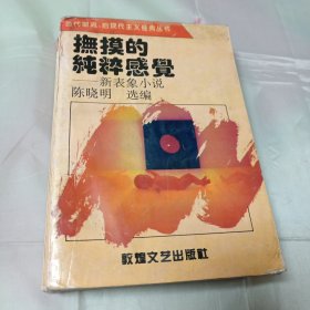 当代潮流：后现代主义经典丛书之抚摸的纯粹感觉——新表象小说1994年1版1印5500册