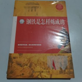 初中语文名著引读丛书 八年级下 钢铁是怎样炼成的名著导读+考试手册