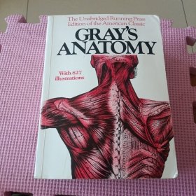 Gray's Anatomy