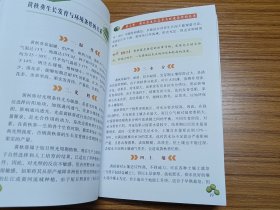 图说黄秋葵高效栽培（全彩版）