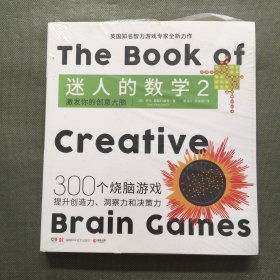 迷人的数学2?激发你的创意大脑（享誉世界的智力游戏专家、《迷人的数学》作者全新力作）