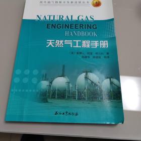 国外油气勘探开发新进展丛书：天然气工程手册