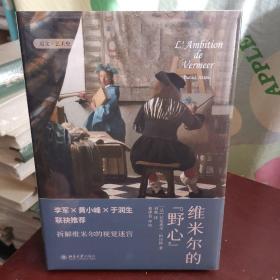 维米尔的野心 中央美术学院李军、黄小峰、于润生联袂推荐，拆解维米尔的视觉迷宫