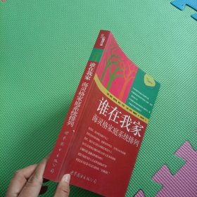 谁在我家：海灵格家庭系统排列