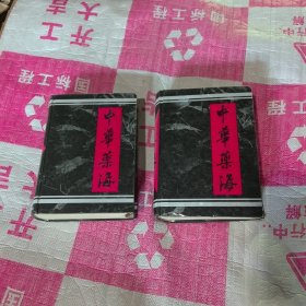 中华药海上下