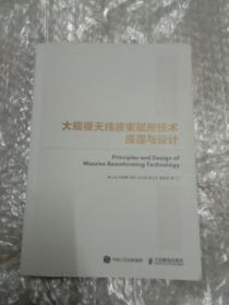 国之重器出版工程大规模天线波束赋形技术原理与设计