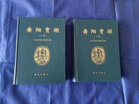 1999年《舞阳贾湖》精装全2册，16开本，有2处铅笔写的日本售价"￥32000"如图所示，可以用橡皮擦掉不留痕迹，除此之外没有别的笔迹印章水迹，外观如图实物拍照，科学出版社一版一印 。