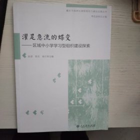 重庆市南岸区课程领导力建设成果丛书·濯足急流的蝶变――区域中小学学习型组织建设探索