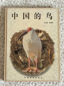 中国的鸟