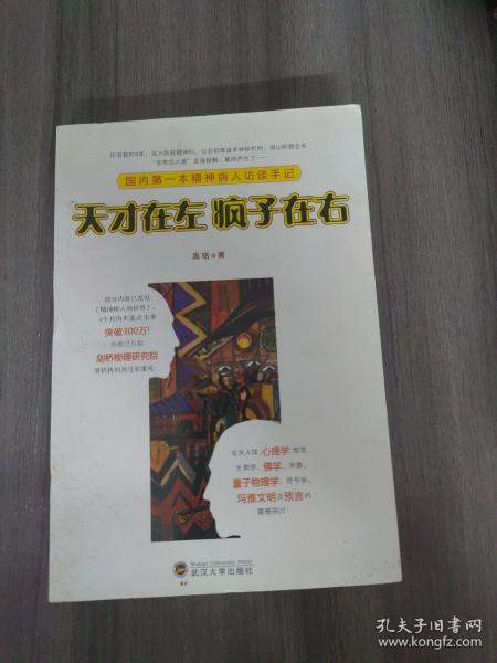 天才在左 疯子在右：国内第一本精神病人访谈手记