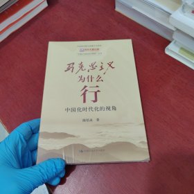 马克思主义为什么行：中国化时代化的视角（“中国之治的成功密码”丛书）【未拆封 实物拍摄】