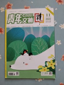 金世佳内页之《青年文摘·彩版》2022年6月上半月（包含江梦南、翟志刚、金世佳精彩内页）赠送金世佳自制小卡一张！