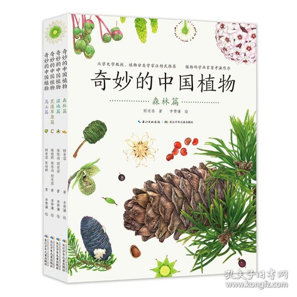 奇妙的中国植物（全4册）200种中国植物的独家自然课，饱览植物之美的收藏级绘本；中科院植物学博士顾有容主笔，国内顶尖植物画者李赞谦绘制