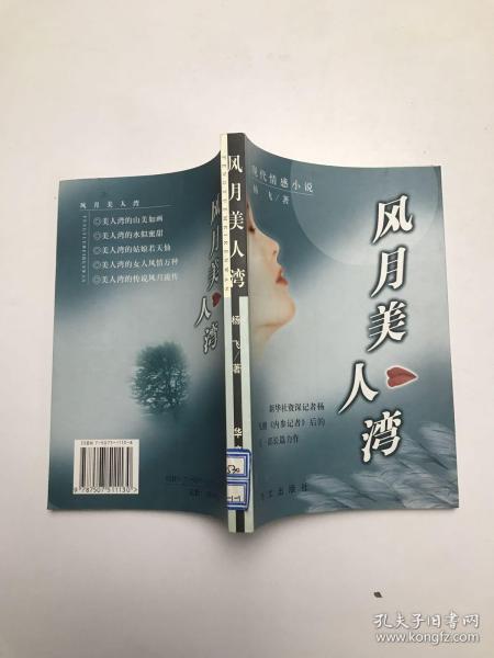 风月美人湾:现代情感小说