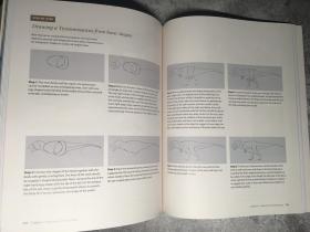 恐龙绘画：利用艺术和科学将过去变为现实 艾米莉·威洛比 Drawing and Painting Dinosaurs, Using Art and Science to Bring the Pas