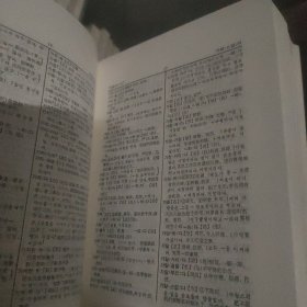 韩中辞典 盒装皮套
