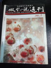 微型小说选刊