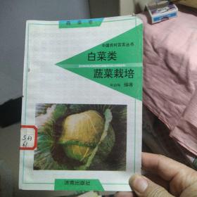 中國(guó)農(nóng)村百頁(yè)叢書(shū)     蔬菜卷   白菜類(lèi)蔬菜栽培