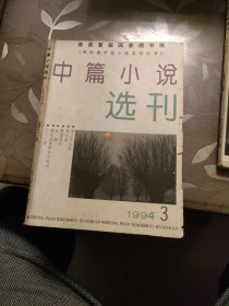 中篇小说选刊 1994年第3期