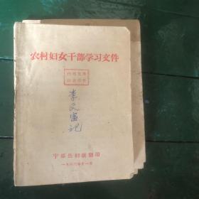 1963年宁都县妇联印 农村妇女干部学习文件