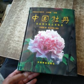 中国牡丹:名品及文化艺术鉴赏 无勾画