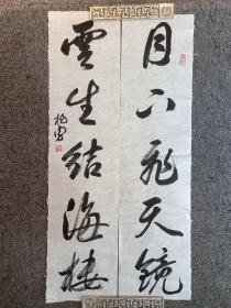 两张中国书法家协会会员杨勇书法