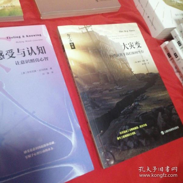 哲人石丛书·大灾变：自然灾害下我们如何生存