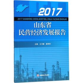 2017山东省民营经济发展报告