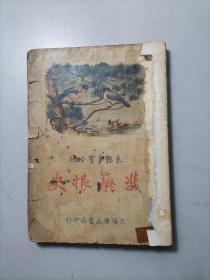 双痴恨史哀艳事实小说
