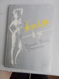 女性人体素描