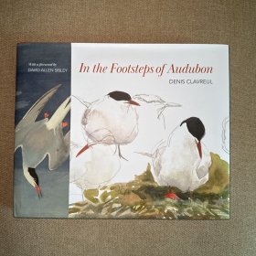 In the Footsteps of Audubon  追随奥杜邦的脚步 Denis Clavreul