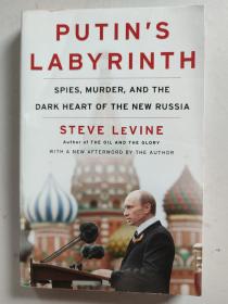 Putin's Labyrinth：Spies, Murder, and the Dark Heart of the New Russia