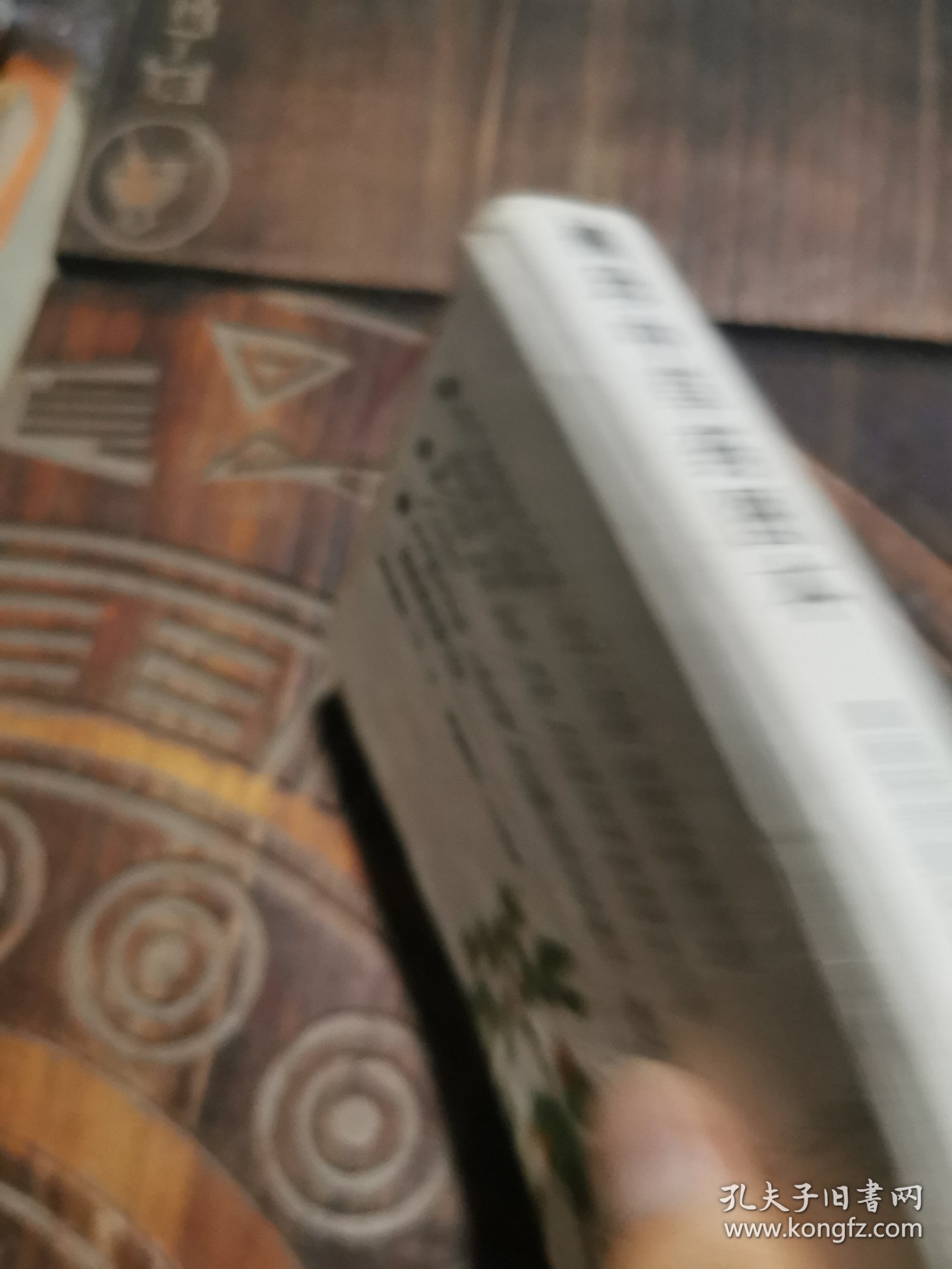 袖珍中草药图本