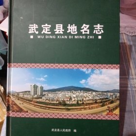 武定县地名志