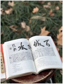 艺苑查疑补证散考（上下）汪世清著