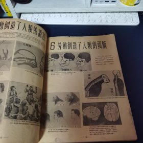 少见 1951年大10开《中国社会发展史画集》上册