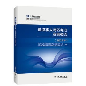 粤港澳大湾区电力发展报告（2021年）