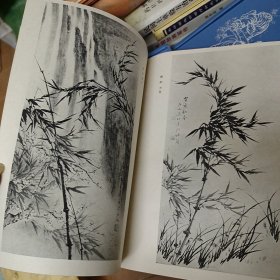 墨竹析览-墨竹画基础技法 A7