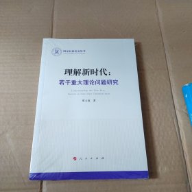 理解新时代：若干重大理论问题研究（国家社科基金丛书—政治）