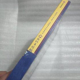 菲特有个好主意:问题解决力创意绘本(套装全3册)
