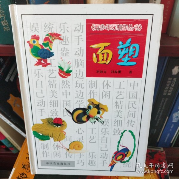 面塑 青少年手作丛书