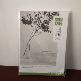 北京文学 中篇小说月报 2025年第5期